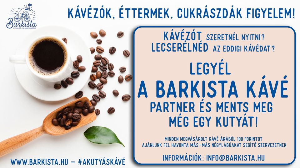 Barkista kávé referencia – 6. kép