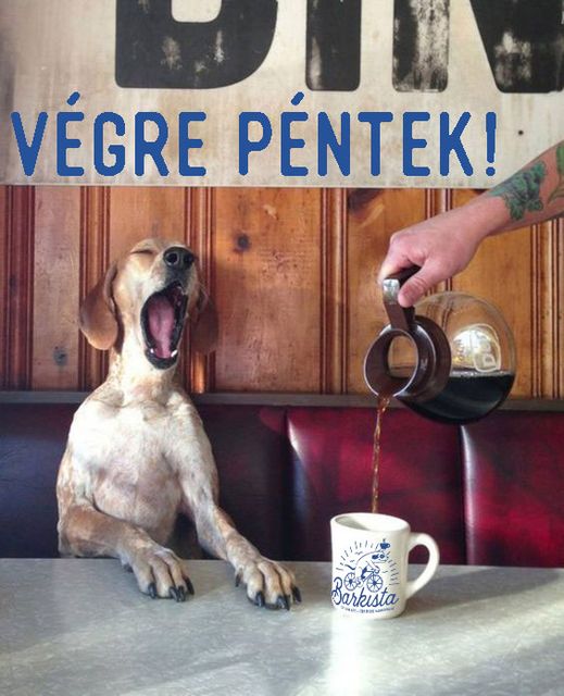 Barkista kávé referencia – 7. kép