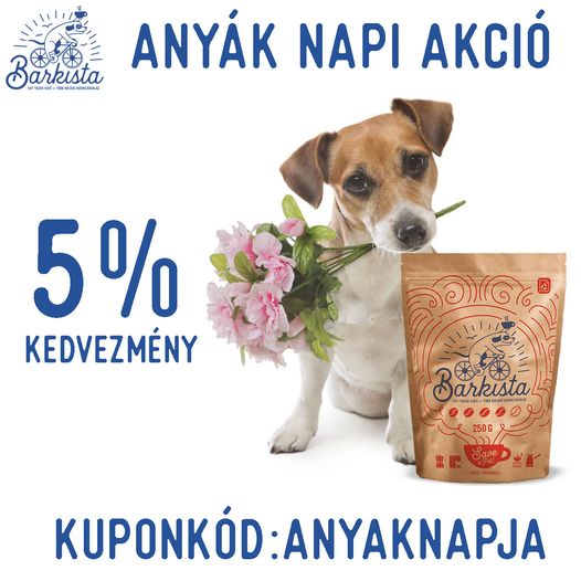 Barkista kávé referencia – 8. kép