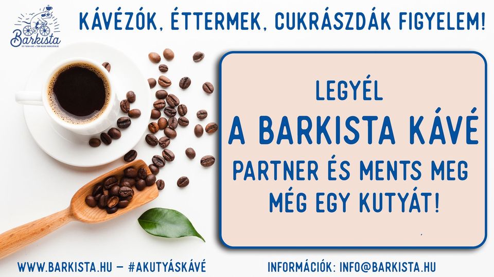 Barkista kávé referencia – 9. kép
